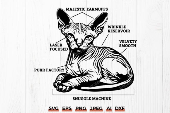 Sphynx Cat Anatomy SVG Funny Sphynx Review